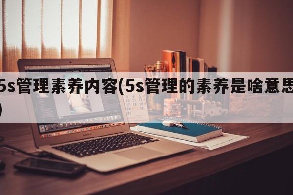 5s管理素养内容(5s管理的素养是啥意思)