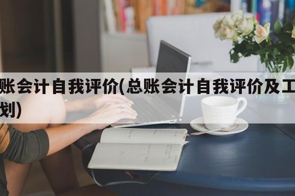 总账会计自我评价(总账会计自我评价及工作计划)